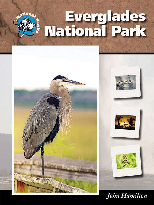 Title details for Everglades National Park by John Hamilton - Available